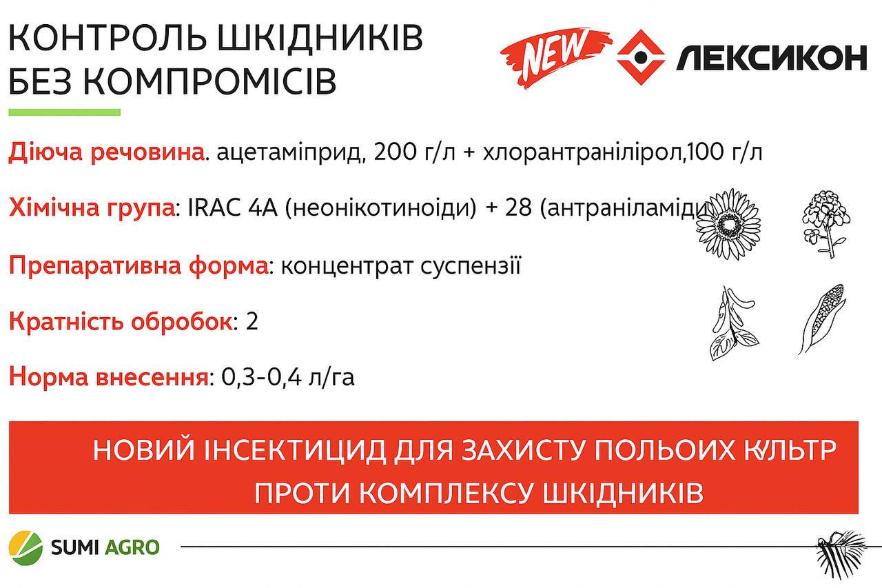 Лексикон купити з ПДВ