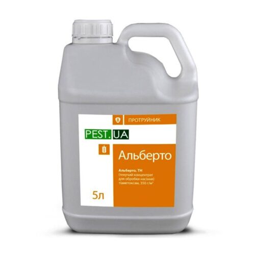 Альберто, 5л, Україна