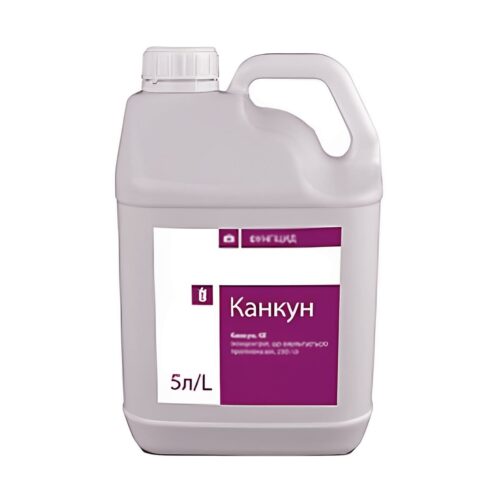 Канкун, ЕС, Україна