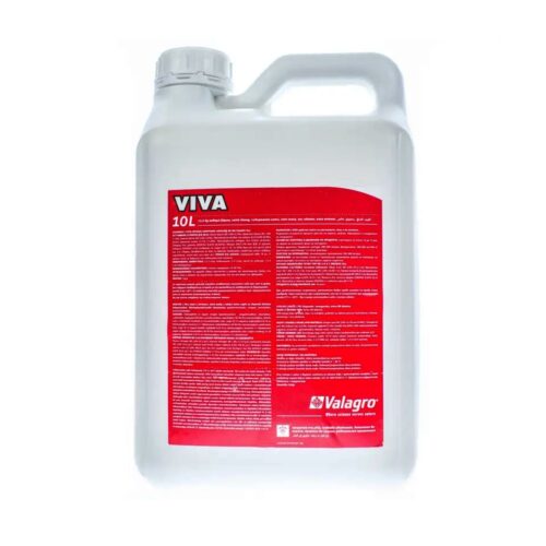 Viva, 10л, Італія
