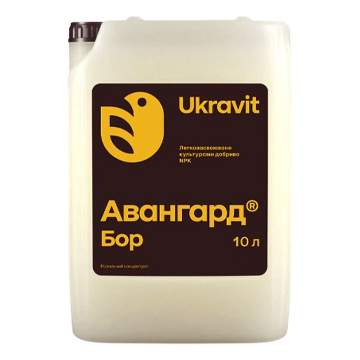 Авангард Бор, 10л