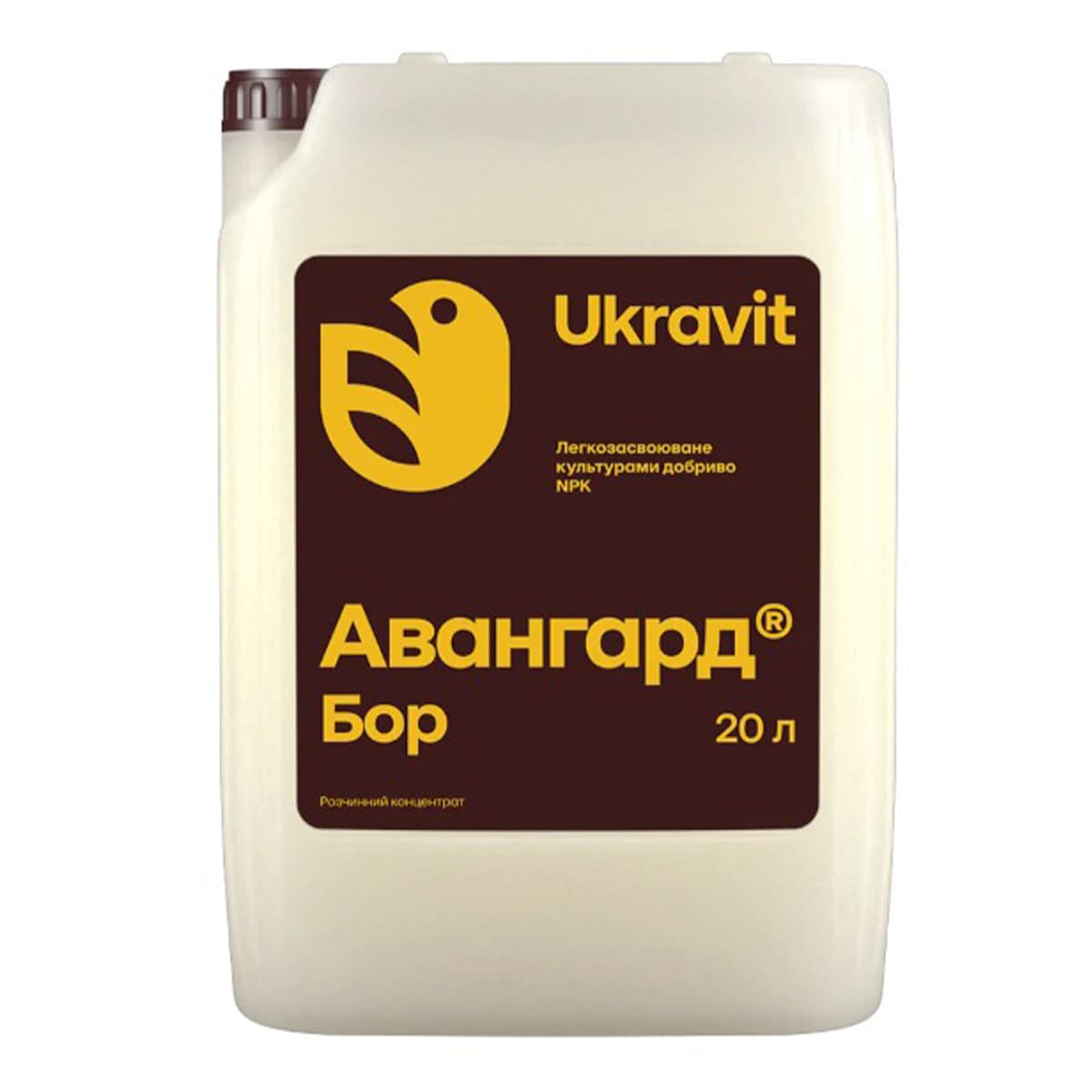Авангард Бор, 20л