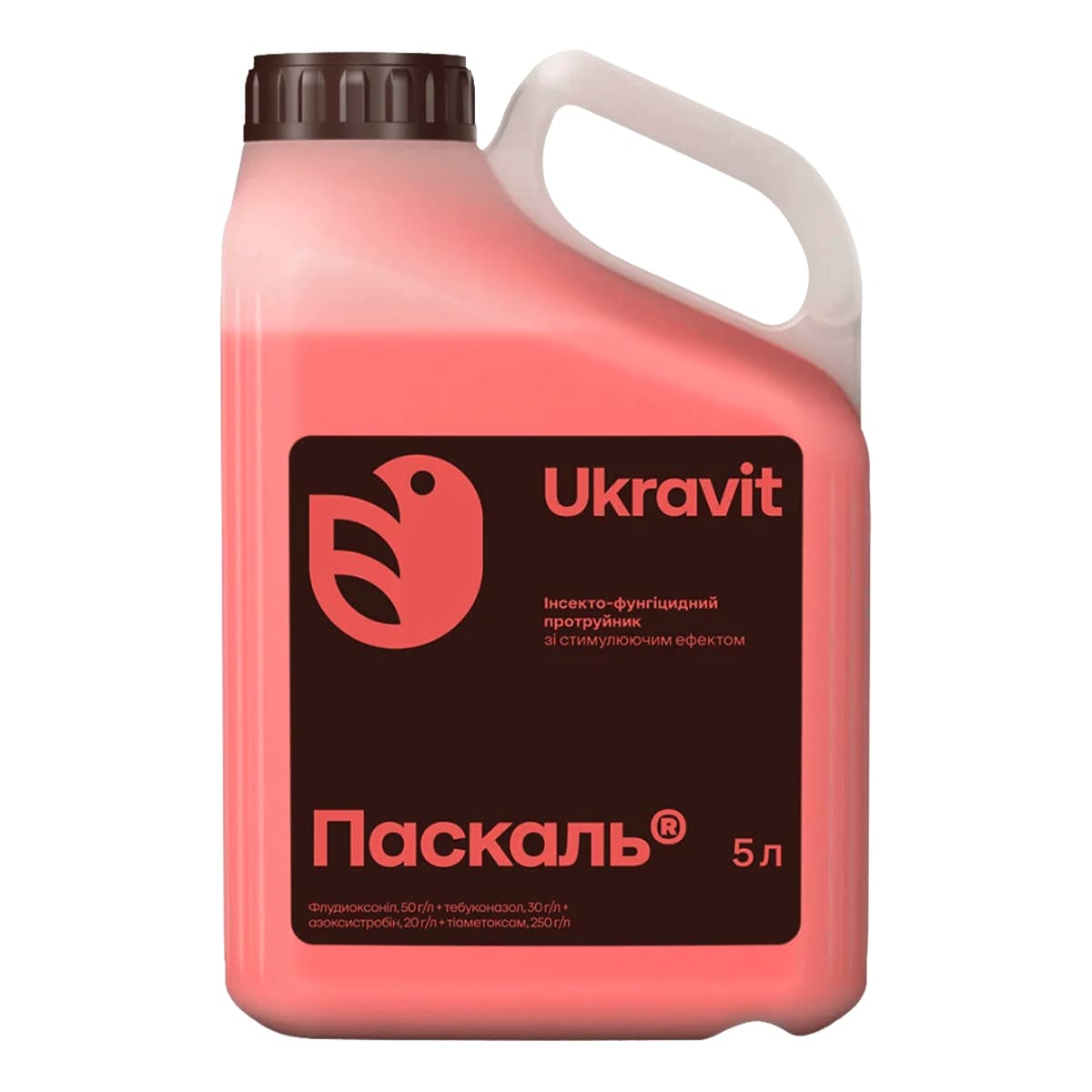 Паскаль, 5л