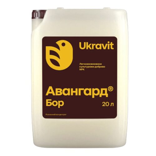 Авангард Бор, 20л