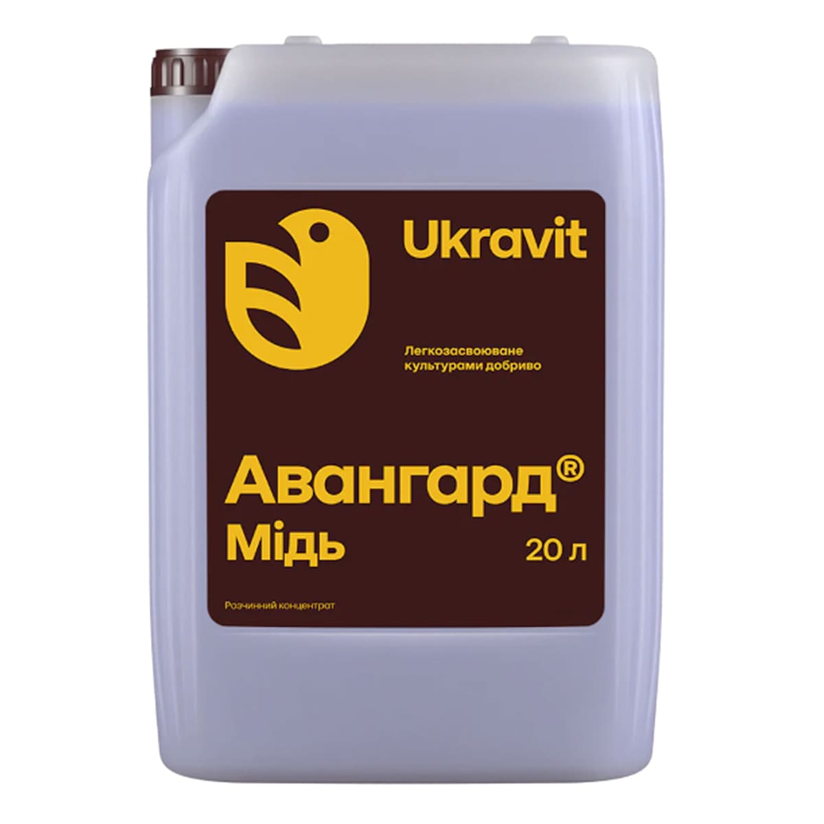 Авангард Мідь, 20л