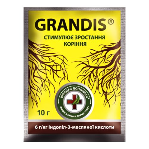 Grandis 10г, Україна