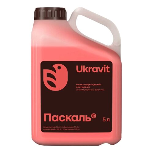 Паскаль, 5л