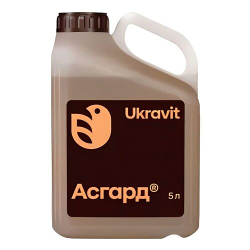Асгард, 5л, Україна