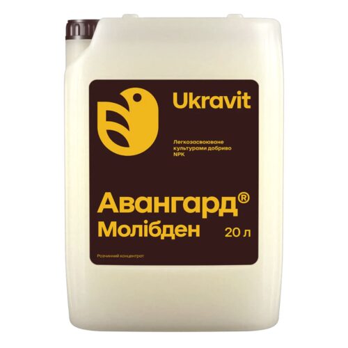 Авангард Молібден, 20л
