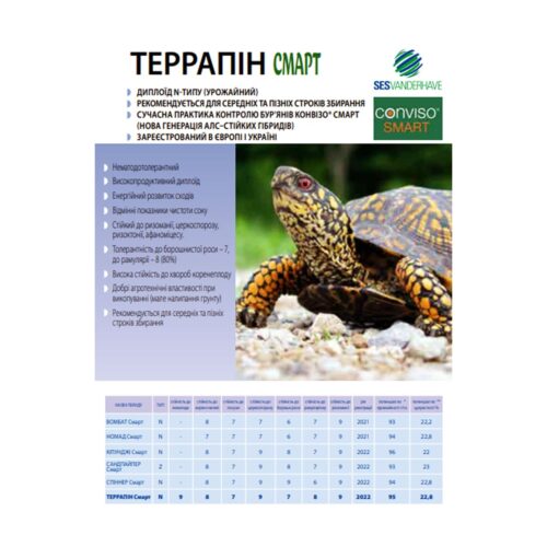 Насіння цукрового буряка ТЕРРАПІН Смарт від Агропідтримки