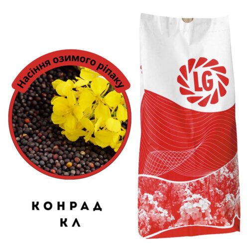 Насіння озимого ріпаку Конрад КЛ Limagrain у Рівному, від Агропідтримки